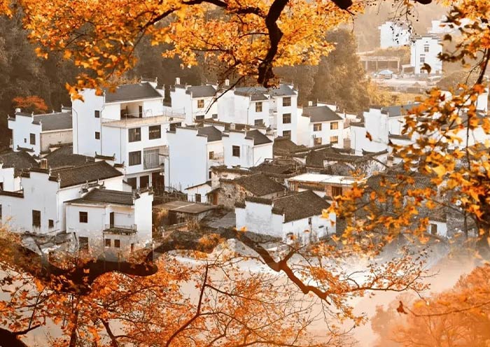 Hongcun in Autumn