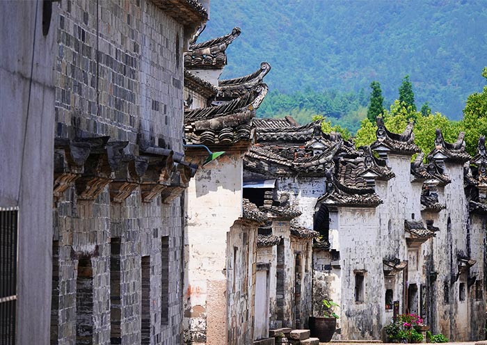 Huangshan Hongcun Ancient Village
