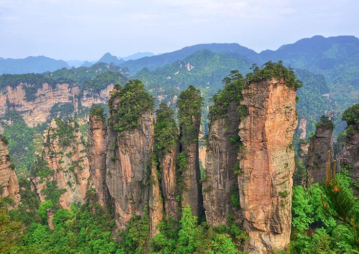 Five Finger Peaks of Huangshizhai in Zhangjiajie