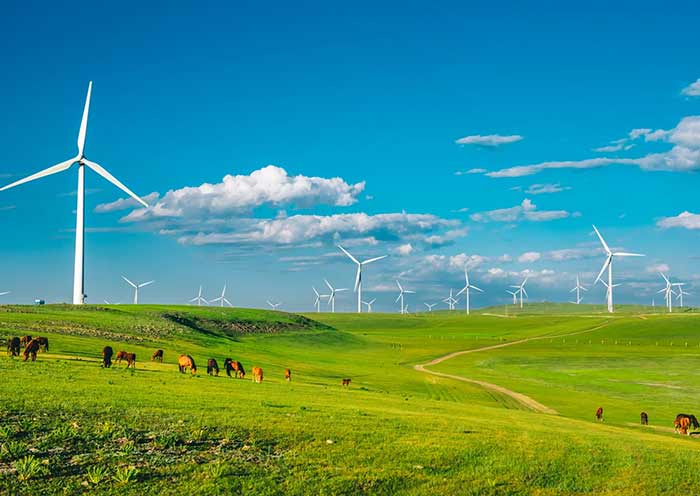 The biggest wind power plant in Asia, Huitengxile Grassland