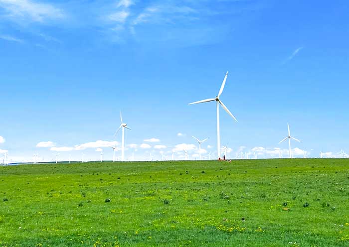 Peaceful Huitengxile Grassland