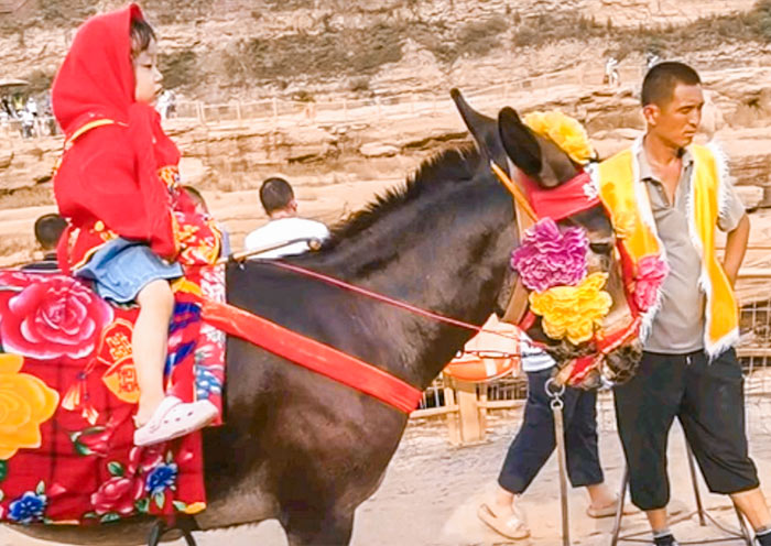 Wild Nature: Hukou Waterfall 