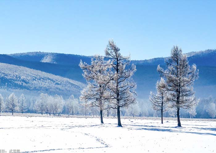 Hulunbuir Grassland in Winter