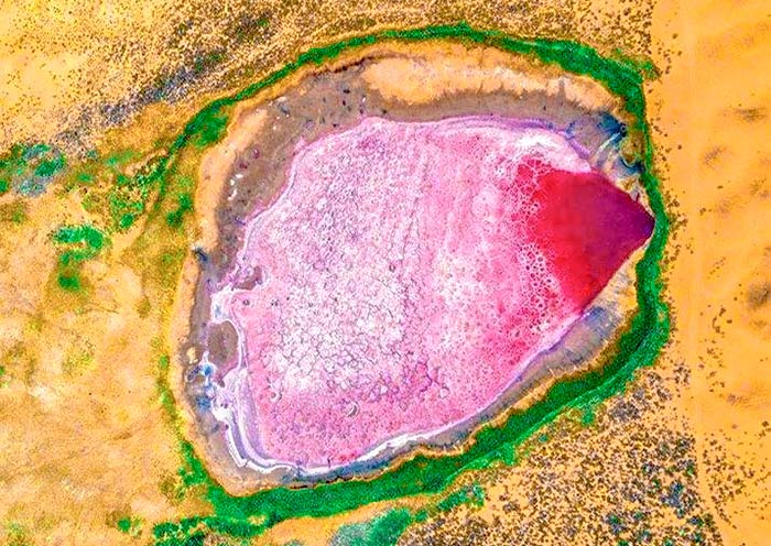 Striking pink hue of Badain Jaran Desert
