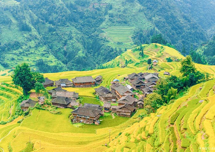 Jiabang Terrace Fields