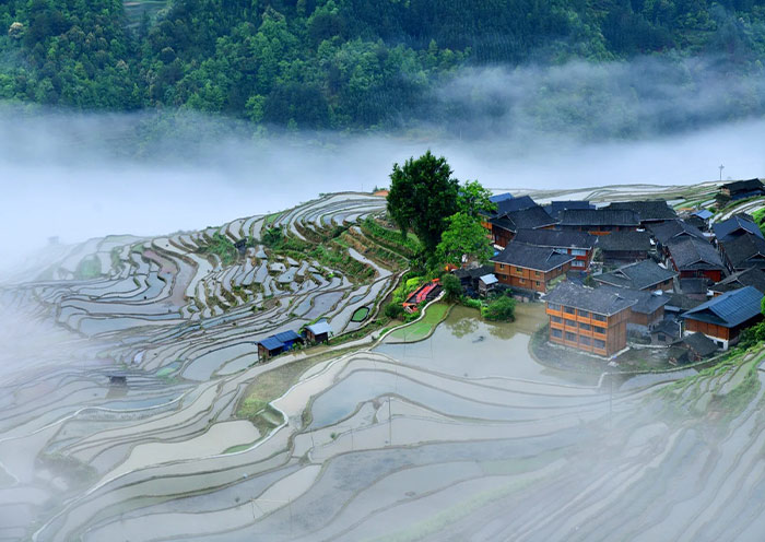 Jiabang Terrace Fields