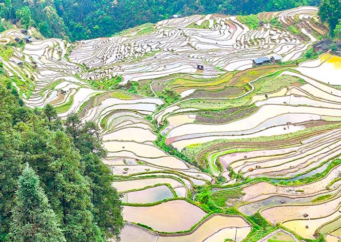 Jiabang Terrace Fields