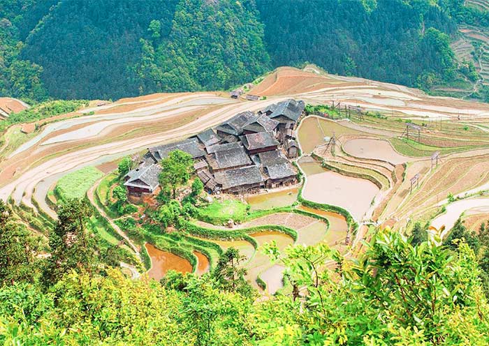 Jiabang Terrace Fields