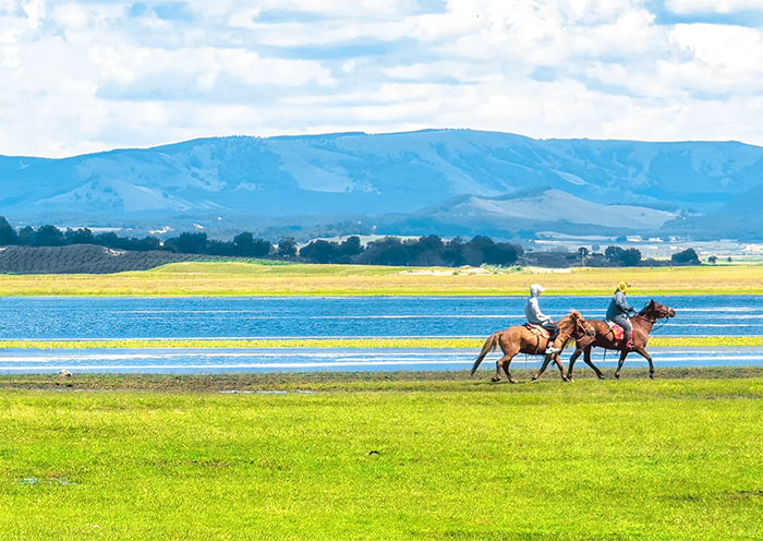 Jiangjun Paozi Horse Riding