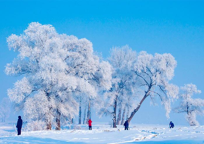 Northeast China Tours