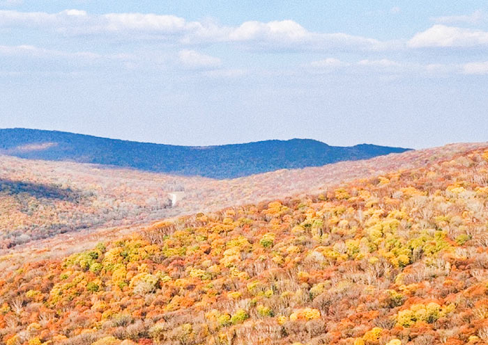 Jinlong Mountain National Forest Park