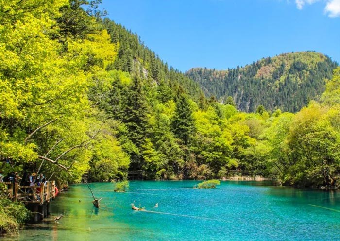 Beautiful Lake in Jiuzhaigou Valley