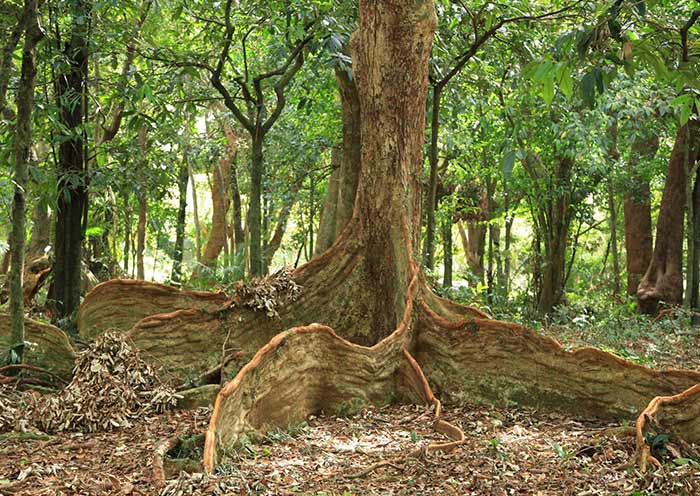 Kenting National Forest Recreation Area