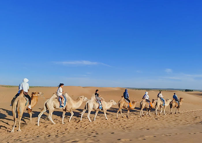 Camel Riding at Yemingshan Kubuqi Desert