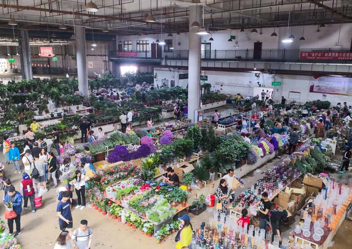 Dounan Flower Market, Kunming