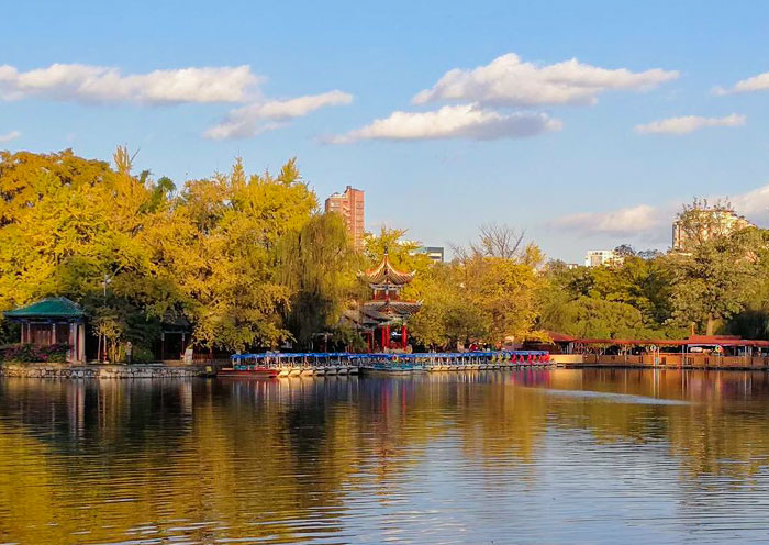 Autumn in Green Lake Park