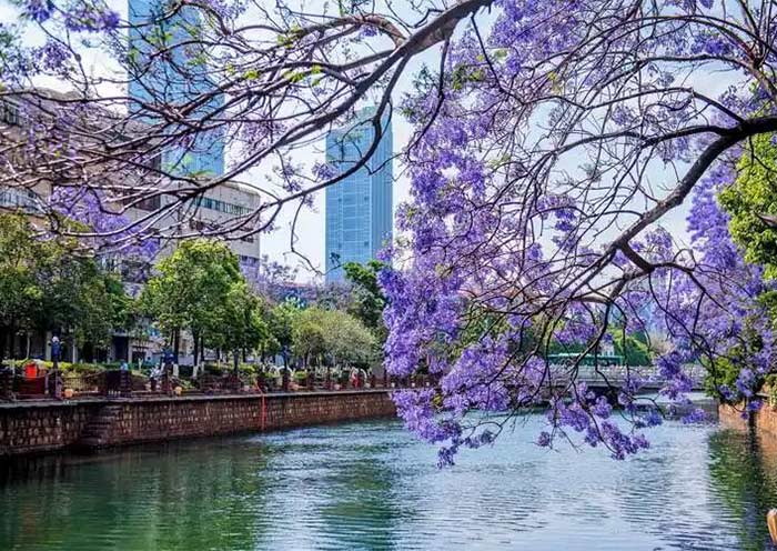 Kunming in Spring