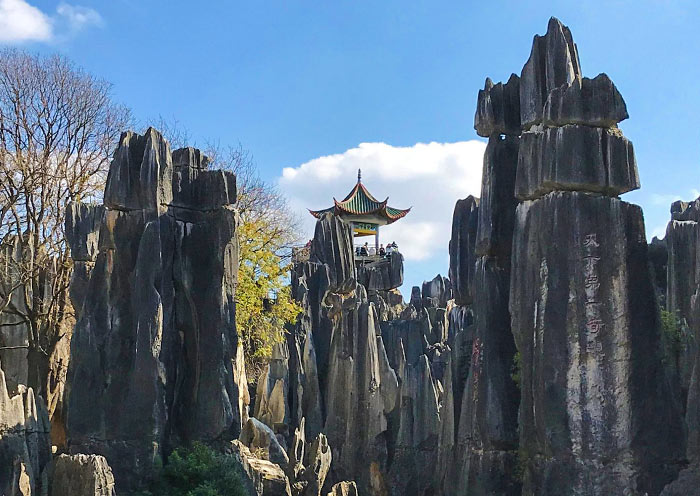 Stone Forest, a World Natural Heritage Site