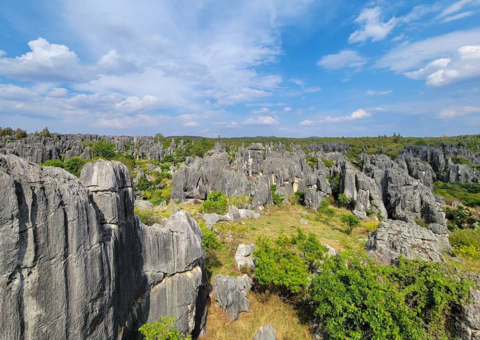 Stone Forest, a filming location for 