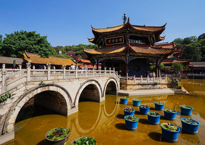 Bridges, Water Lily, Pavilion, Yuantong Temple