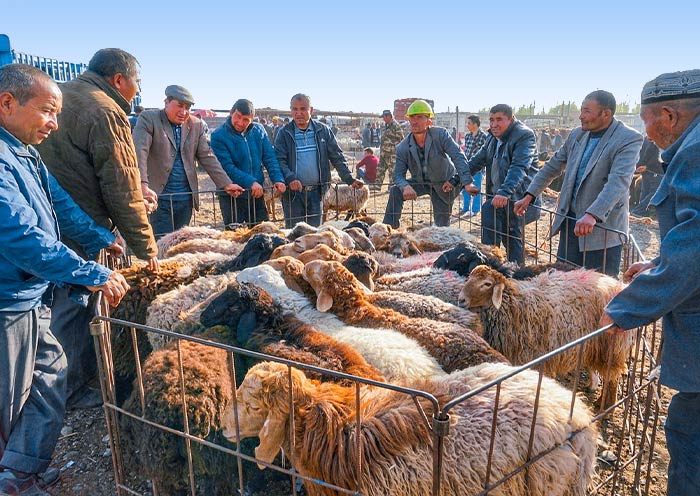 Kashgar Livestock Market