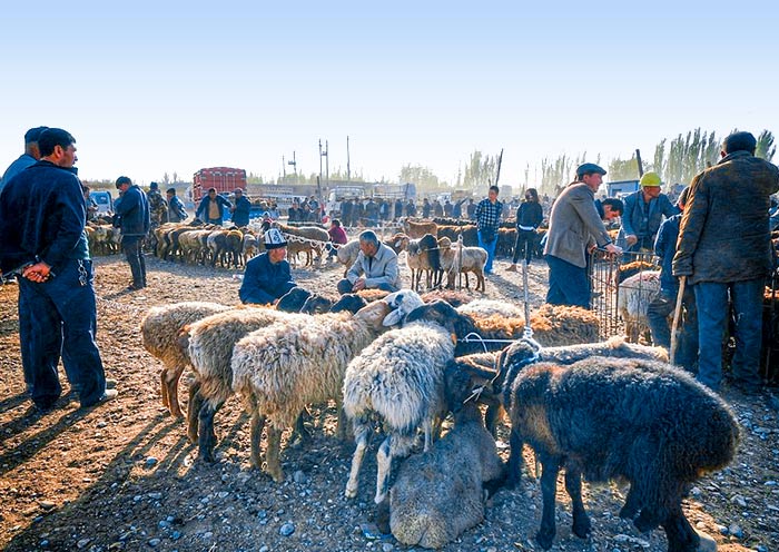 Kashgar Livestock Market