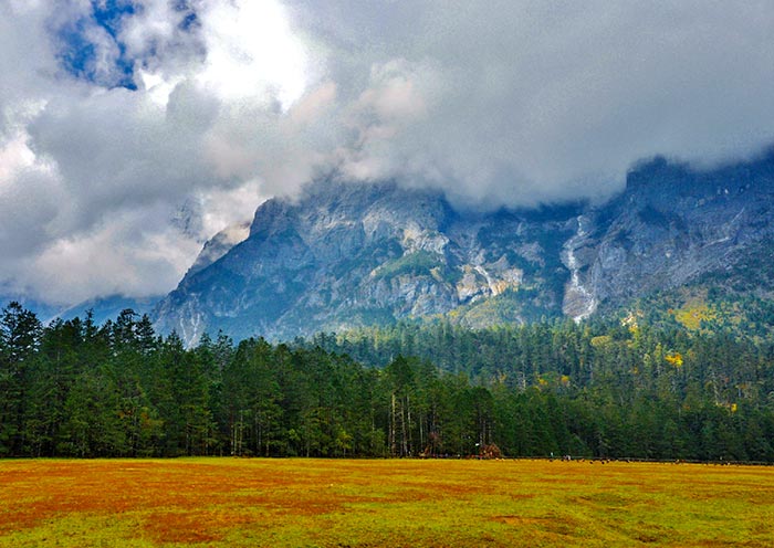 Spruce Meadow of Jade Dragon Snow Mountain, Lijiang