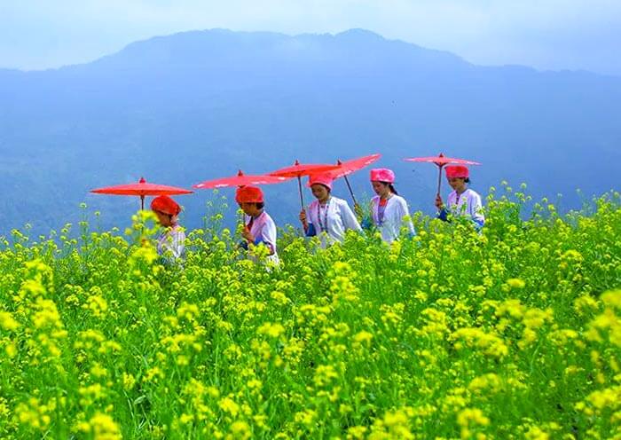 Longji Ancient Zhuang Village Rice Terraced Fields