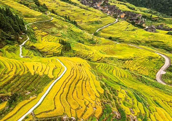Longji Ancient Zhuang Village Rice Terraces
