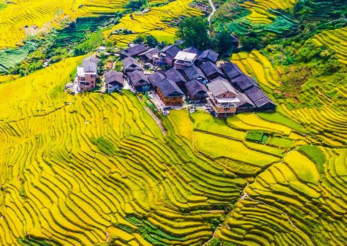 Longji Rice Terraces