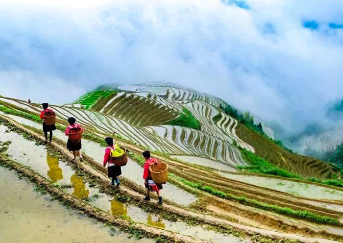 5 Days Guilin Yangshuo Longji Tour with Hiking in Longji Rice Terraces