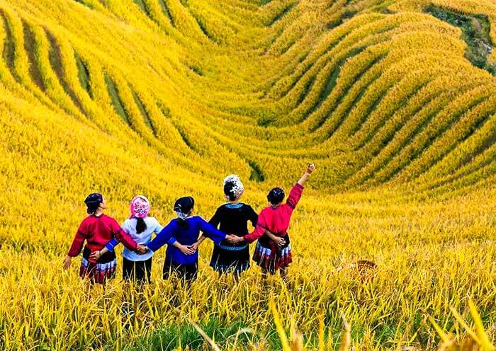 Longji Rice Terrace