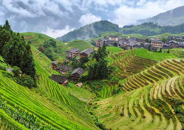 Longji Rice Terrace