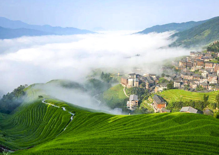 Ping'an Rice Terraced Fields