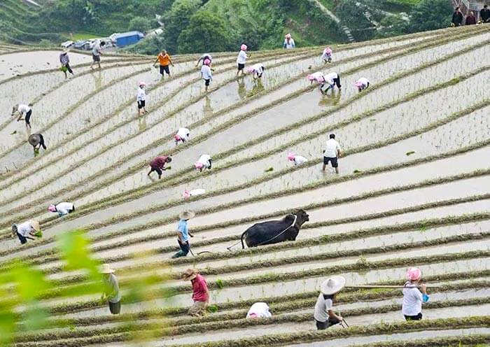 6 Days Guilin Photography Tour with Longji, Yangshuo & Xingping