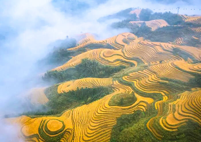 Longji Rice Terrace - Dazhai 