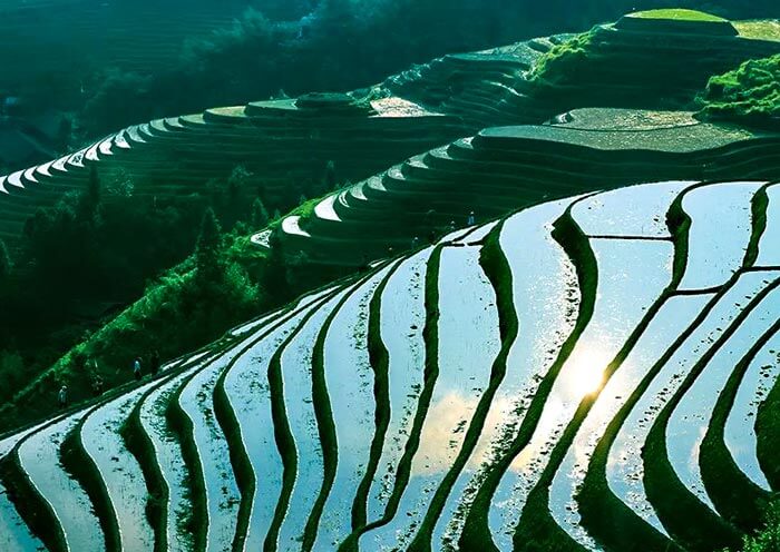 5 Days Guilin Yangshuo Longji Tour with Hiking in Longji Rice Terraces