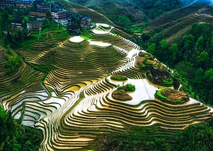 Longji Ping'an Rice Terraces