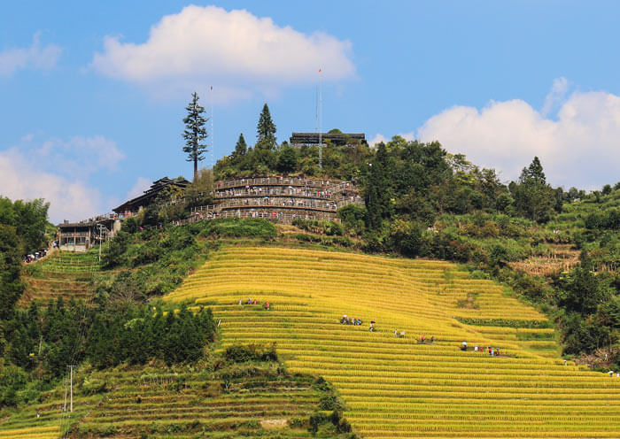 China Autumn Tour to Guilin Longji Rice Terraces