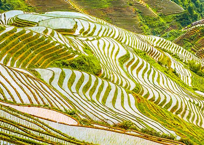 Longji Rice Terrace - Ping'an
