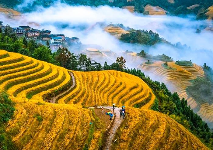 2 Days Longji Rice Terraces Hiking with Zhuang & Yao Minority Culture Tour 