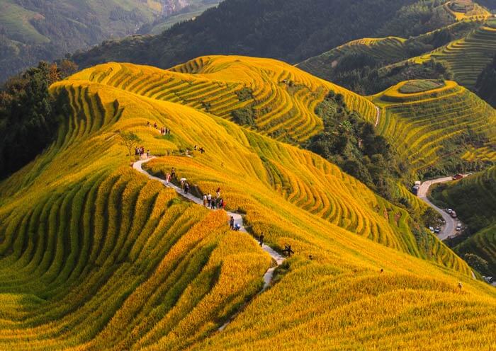 Longji Rice Terrace - Ping'an