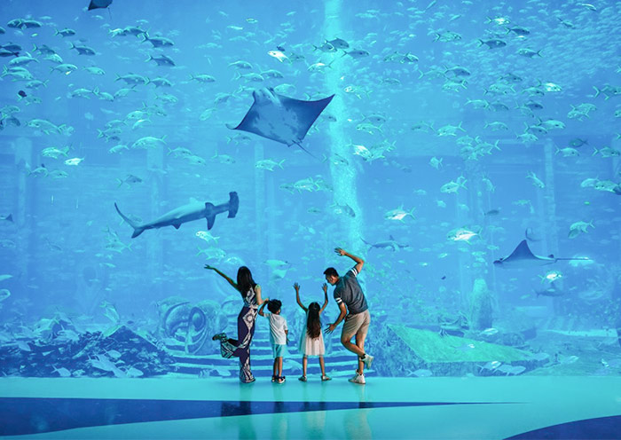  Atlantis Lost Chambers Aquarium