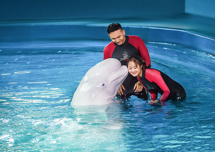  Atlantis Lost Chambers Aquarium