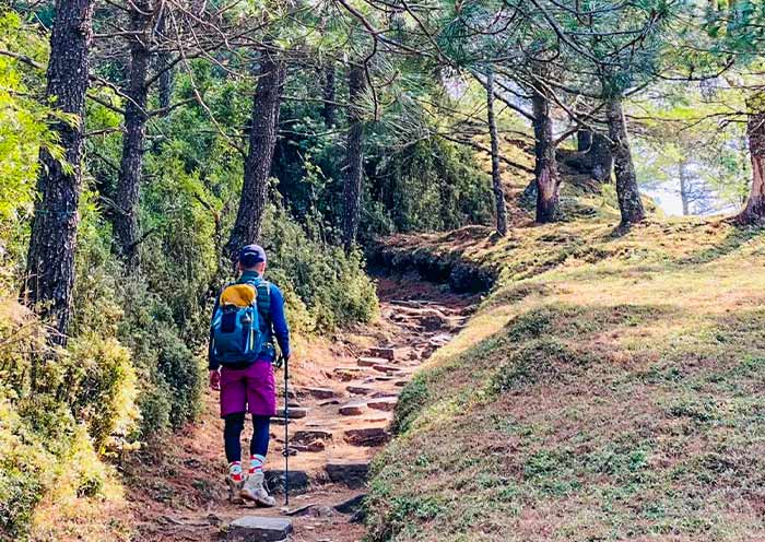 Mt. Lulinshan Offer the Best Yushan Main Peak Views