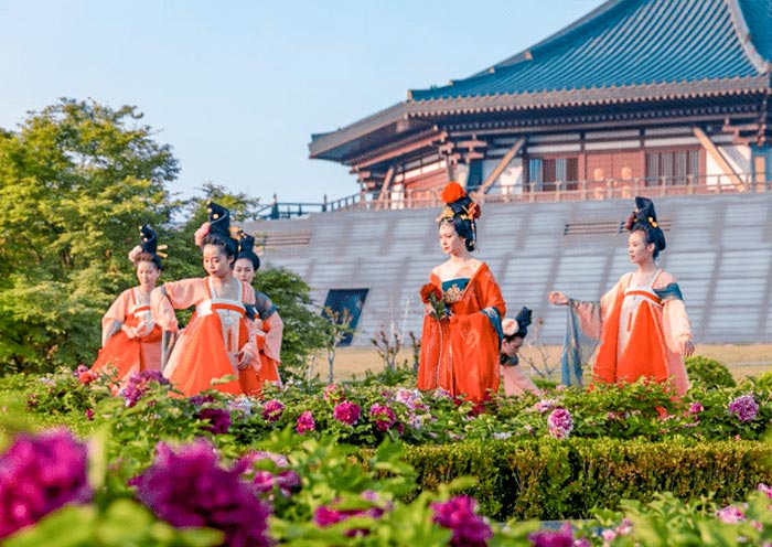 Peony Festival in Luoyang