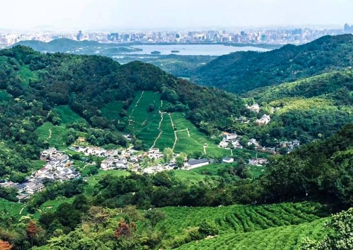 Meijiawu Tea Village