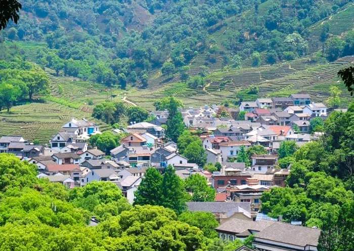Meijiawu Tea Village