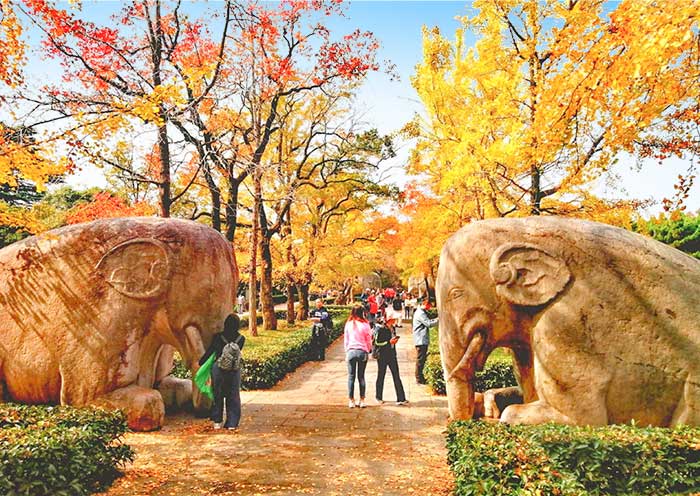Nanjing Day Tour