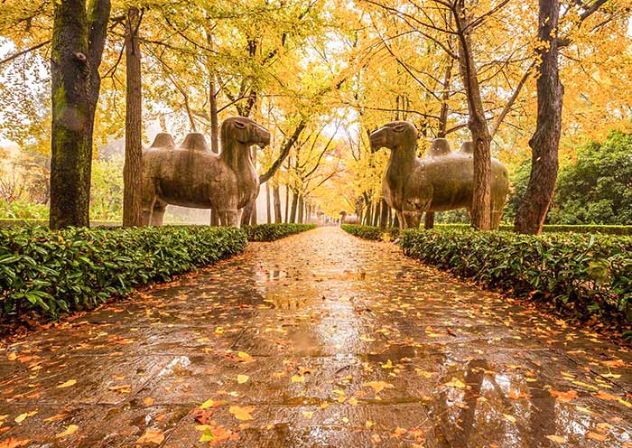 Ming Xiaoling Mausoleum, Nanjing